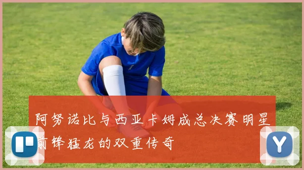 阿努诺比与西亚卡姆成总决赛明星前锋猛龙的双重传奇